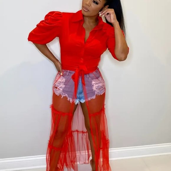 Sexy Short Sleeve Turn Down Collar Tie Mesh Dress - Picture 9 of 13